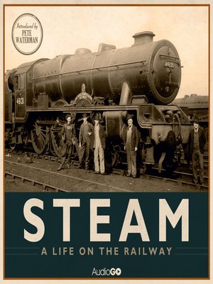 cover image of Steam